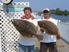 Flounder
